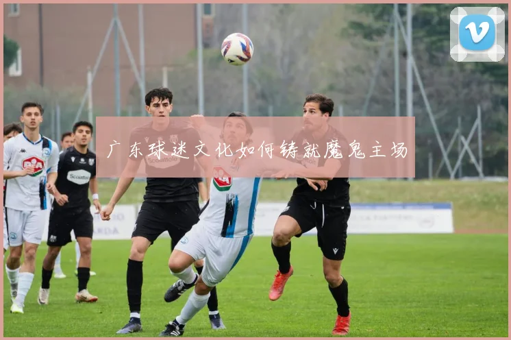 广东球迷文化如何铸就魔鬼主场